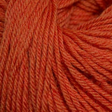 Cascade 220 Superwash