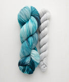 Sweet Georgia- Tough Love Sock Kit