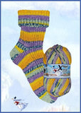 Opal XL Wilder Winter 8 ply