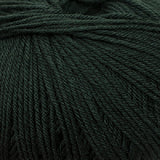 Cascade 220 Superwash