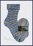 Opal Vincent Van Gogh 4 ply