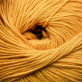 Cascade 220 Superwash