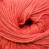 Cascade 220 Superwash