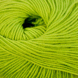 Cascade 220 Superwash
