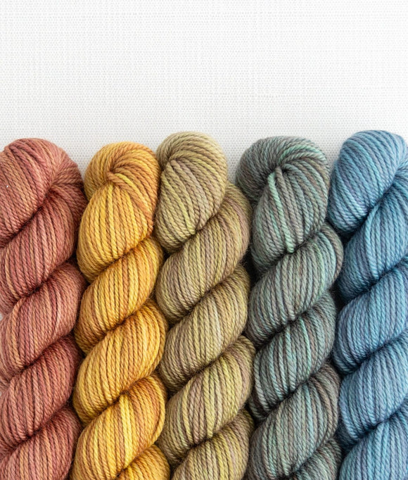 Sweet Georgia Party of Five- Mini Skein Set