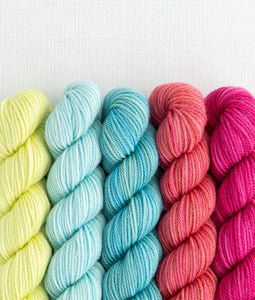 Sweet Georgia Party of Five- Mini Skein Set