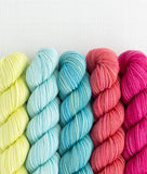 Sweet Georgia Party of Five- Mini Skein Set