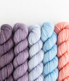 Sweet Georgia Party of Five- Mini Skein Set