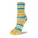 Flotte Sock 4ply Happy Birthday